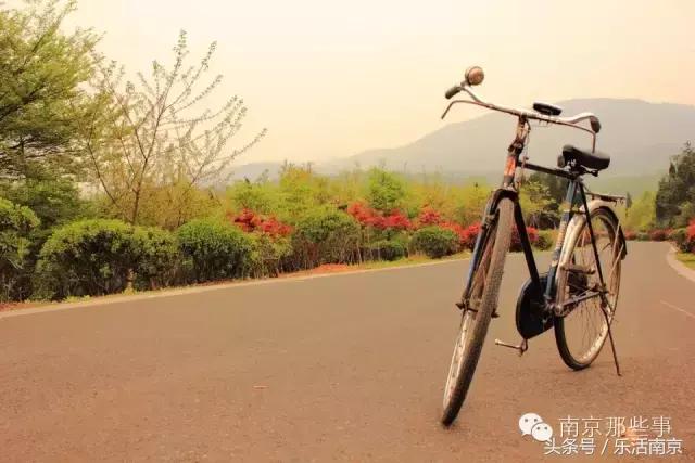 南京踏青赏梅乐享春光,赏梅园