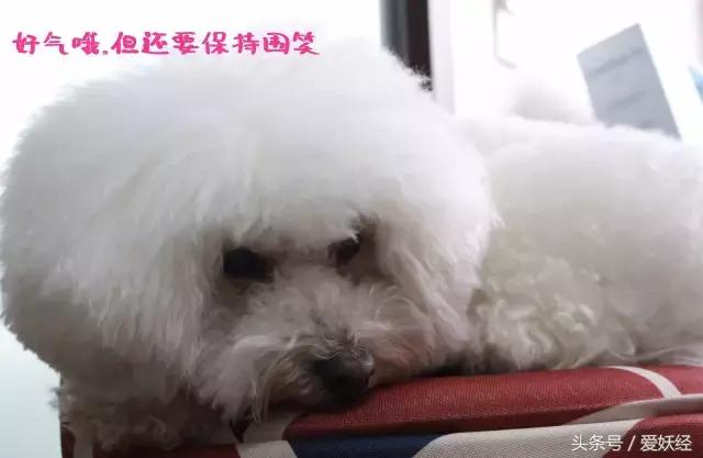 瓒呭０娉㈡礂鐗欑鍣ㄧ湡鐨勫ソ鐢ㄥ悧,瓒呭０娉㈡礂鐗欑鍣ㄩ潬璋卞悧