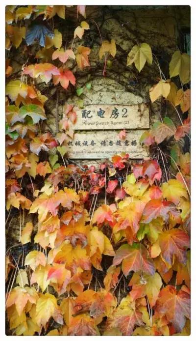 有所大学，叫标榜！逆天颜值碾压成都各大高校！