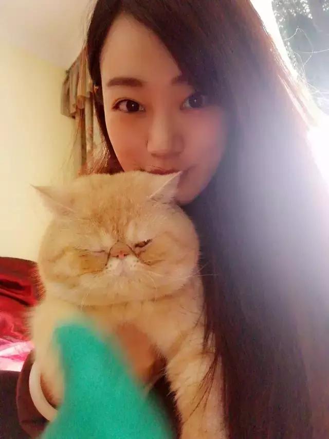 长沙宠物蜥蜴品种有哪些,别人家养的宠物蜥蜴食肉动物