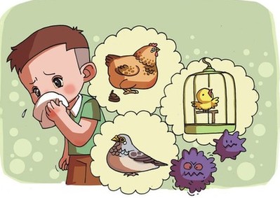 面对流感怎样有效防护,怎样可以预防禽流感