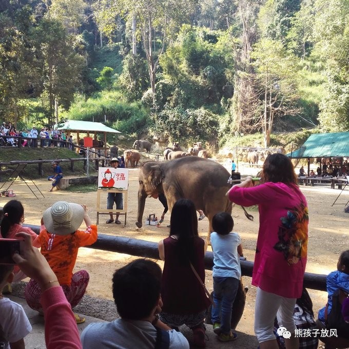 能在异国被警察抓也没谁了吧？这是我的清迈，和你去的不一样！