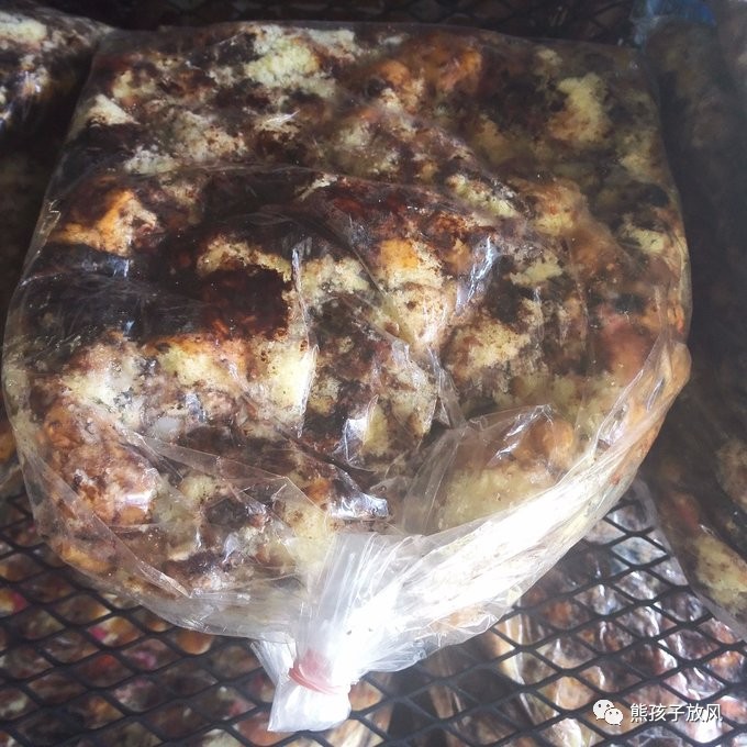 能在异国被警察抓也没谁了吧？这是我的清迈，和你去的不一样！