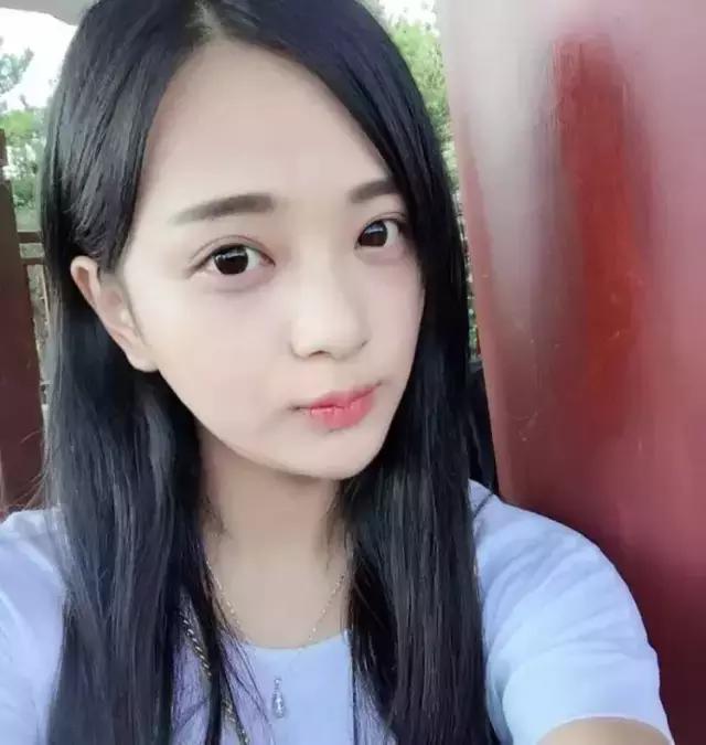 长沙人爱养什么品种的鸟,长沙人为什么喜欢养乌龟