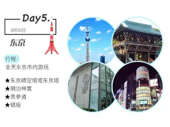 樱花短途旅行包大容量,樱花三月去踏青加长版