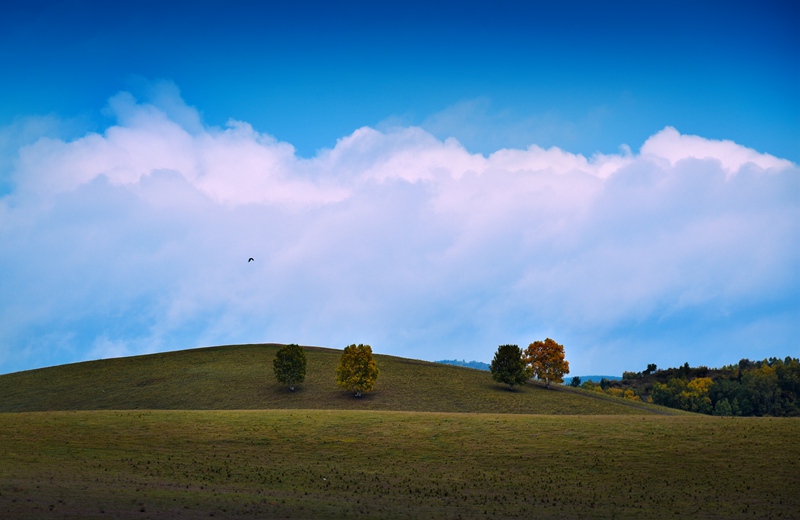 走起路来看风景,走起看风景