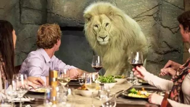 赚走中国人最多钱的车企,在情人节推出了这辆车圈钱