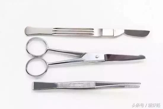 顽皮家族宠物医院怎么样,顽皮家族宠物医院属于什么组织