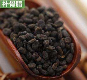 补骨脂的相克中药,补骨脂加哪味中药不上火