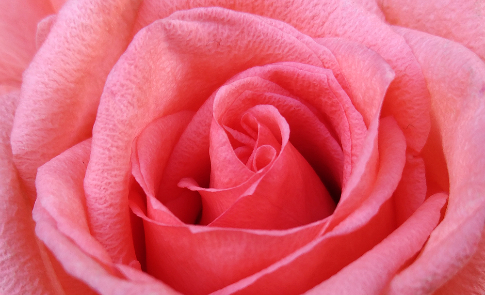 一步一步学摄影,一步一步教你学手机画画