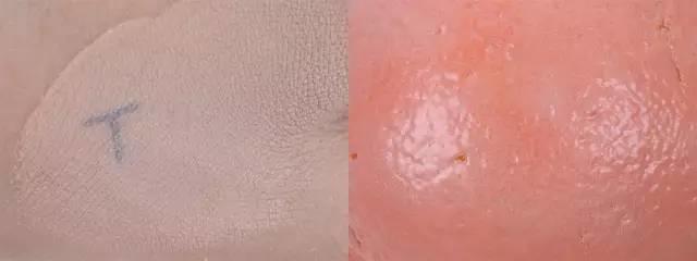 十大公认好用的气垫双层,最好的气垫是哪一款