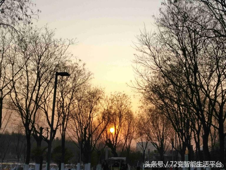 一加3T和oppo、vivo差多少？跑分排名第一没毛病！