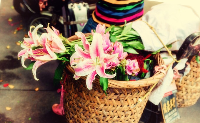 论一个吃货的自我修养小说,论一个吃货的自我修养