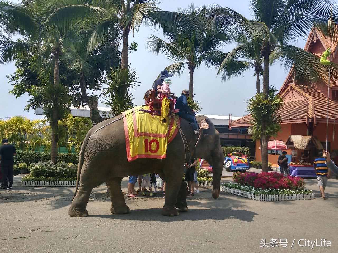 泰国芭堤雅东芭乐园,泰国芭提雅东芭公园