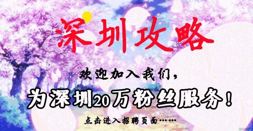 下一站罗湖站视频,罗湖下一站幸福茶餐厅服务员