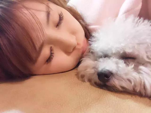 长沙人爱养什么品种的鸟,长沙人为什么喜欢养乌龟