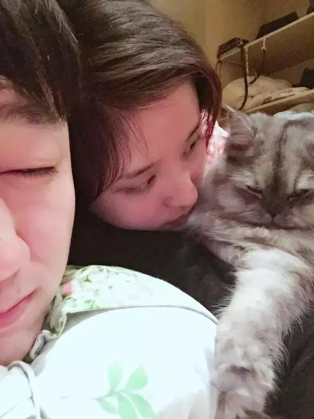 长沙宠物蜥蜴品种有哪些,别人家养的宠物蜥蜴食肉动物