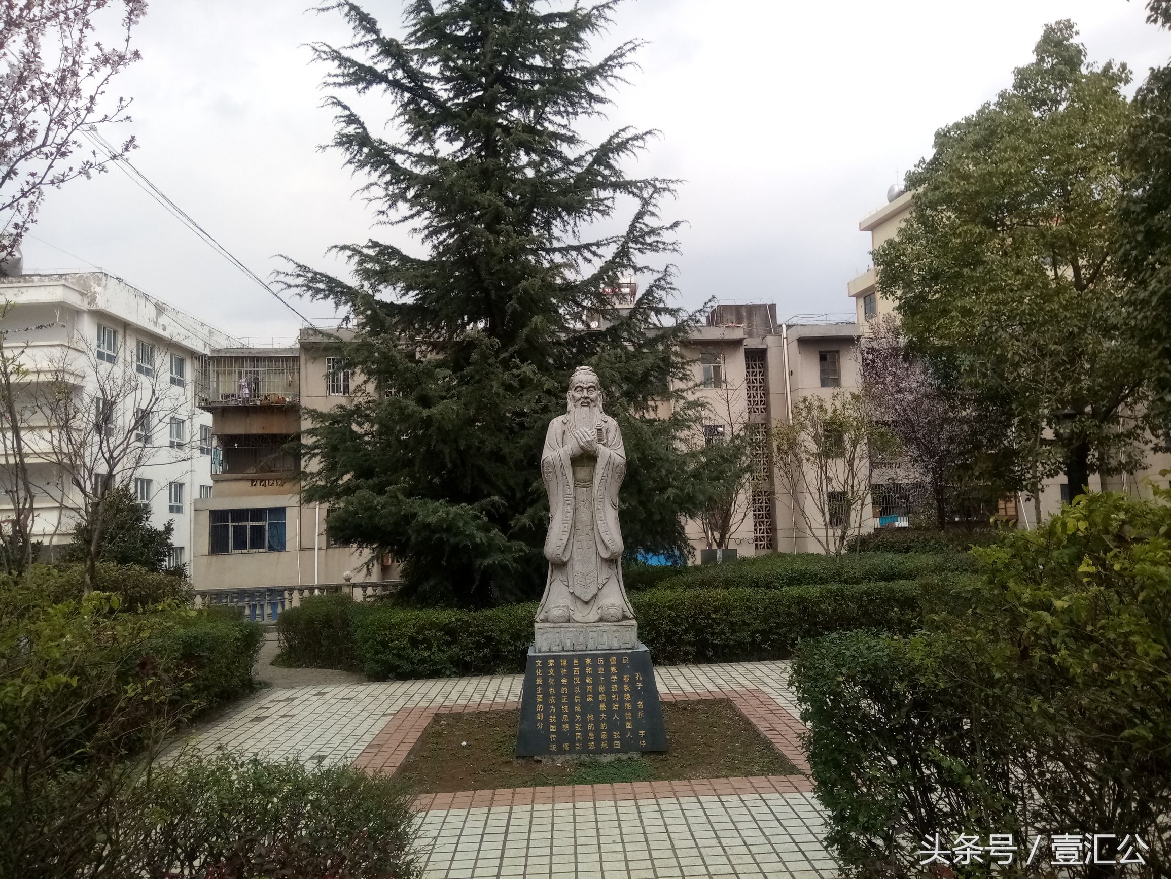 少小离家老大回的情景,少小离家老大回不是乡音未改吗