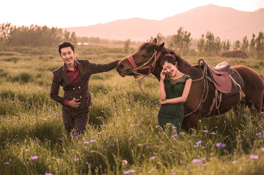 薰衣草的浪漫花语和寓意,薰衣草花语和寓意是什么