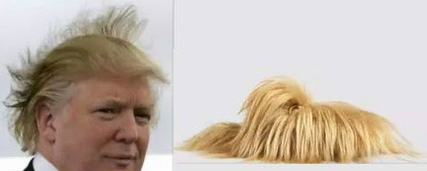 花一万就能把川普的头发踩在脚下？Gucci这新鞋实在辣眼睛呀