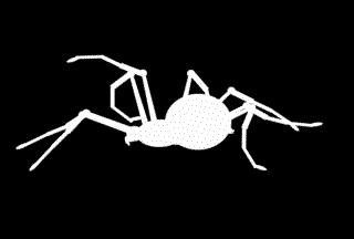 这是你们要的大长腿，备好纸巾，准备上下其手吧