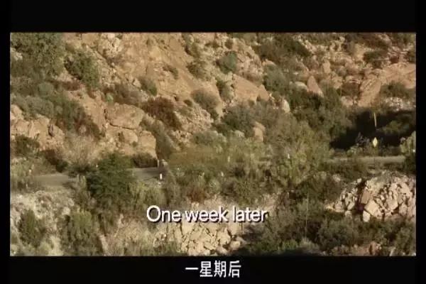 这是你们要的大长腿，备好纸巾，准备上下其手吧