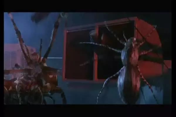 这是你们要的大长腿，备好纸巾，准备上下其手吧