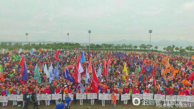 深圳湾公益活动,深圳湾公园公益长跑