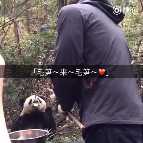 中国十大最火的外国网红,抖音百万网红姐弟抱大腿