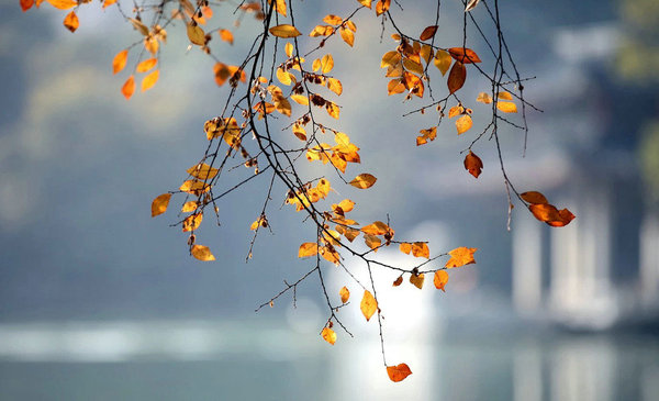 如何打造医院名医门诊,市医院专家门诊一览表
