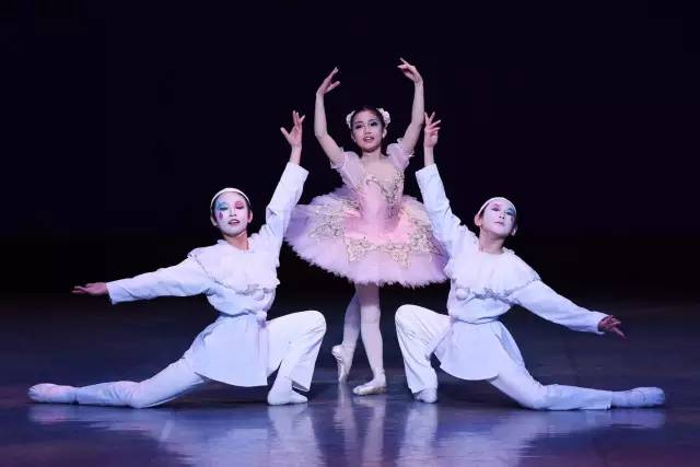 星光璀璨颁奖盛典优秀少年团,星光大赏2020明星跳舞