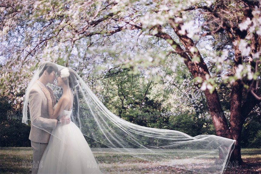 薰衣草的浪漫花语和寓意,薰衣草花语和寓意是什么