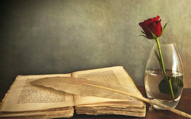 文科生考研含金量最大的专业,考研含金量高的有哪些专业