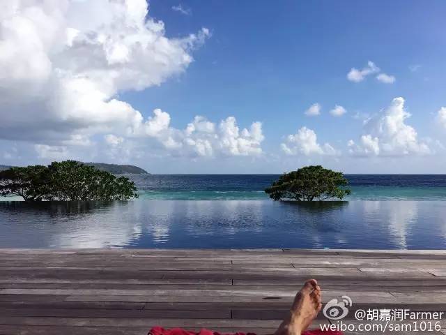 胡嘉润:除了商人、诗人，还请叫我匠人