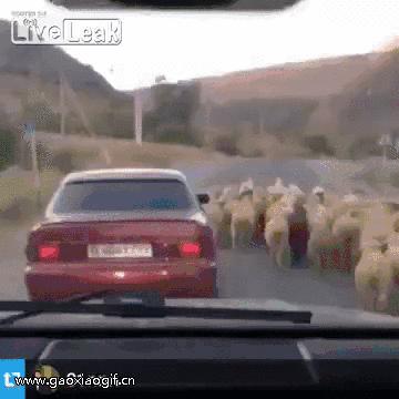 女生说我只喝洋酒的时候怎么回答,女生说她只喝红酒