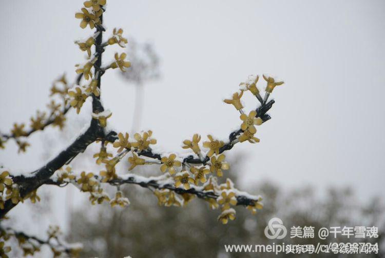 永远的余子店——文/刘宏冰