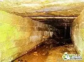 6个有趣奇闻异事保证你没听过,世界奇闻异事大全集