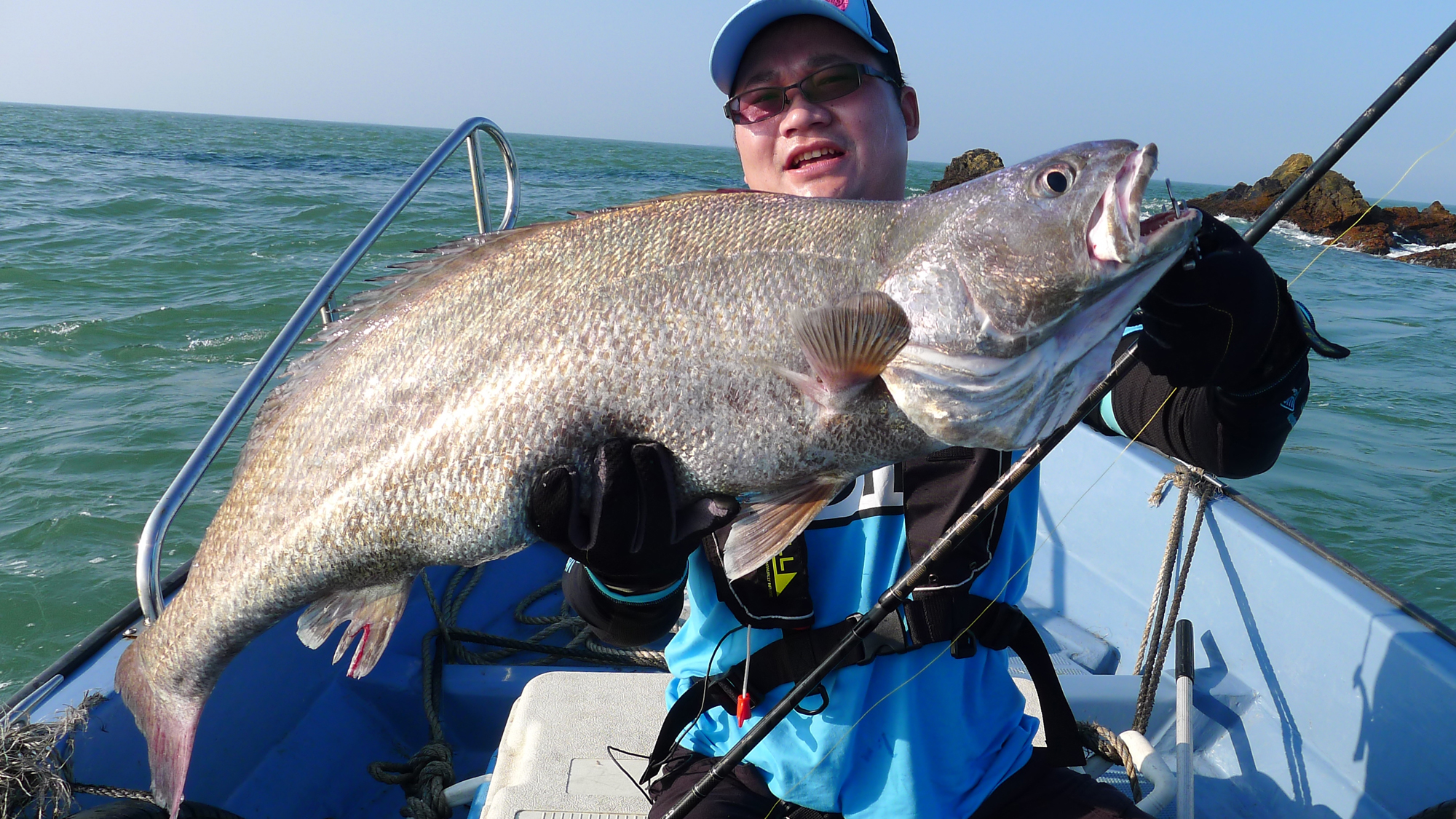 钓鱼有哪些肉食性鱼,海洋钓鱼常见鱼类