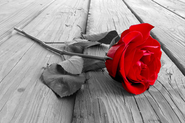 为什么一谈恋爱就变得不自信,为什么你恋爱总是高开低走