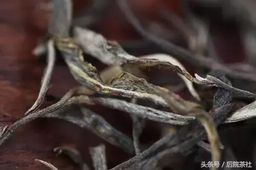 普洱茶鉴赏收藏册,古六大茶山的口感特点