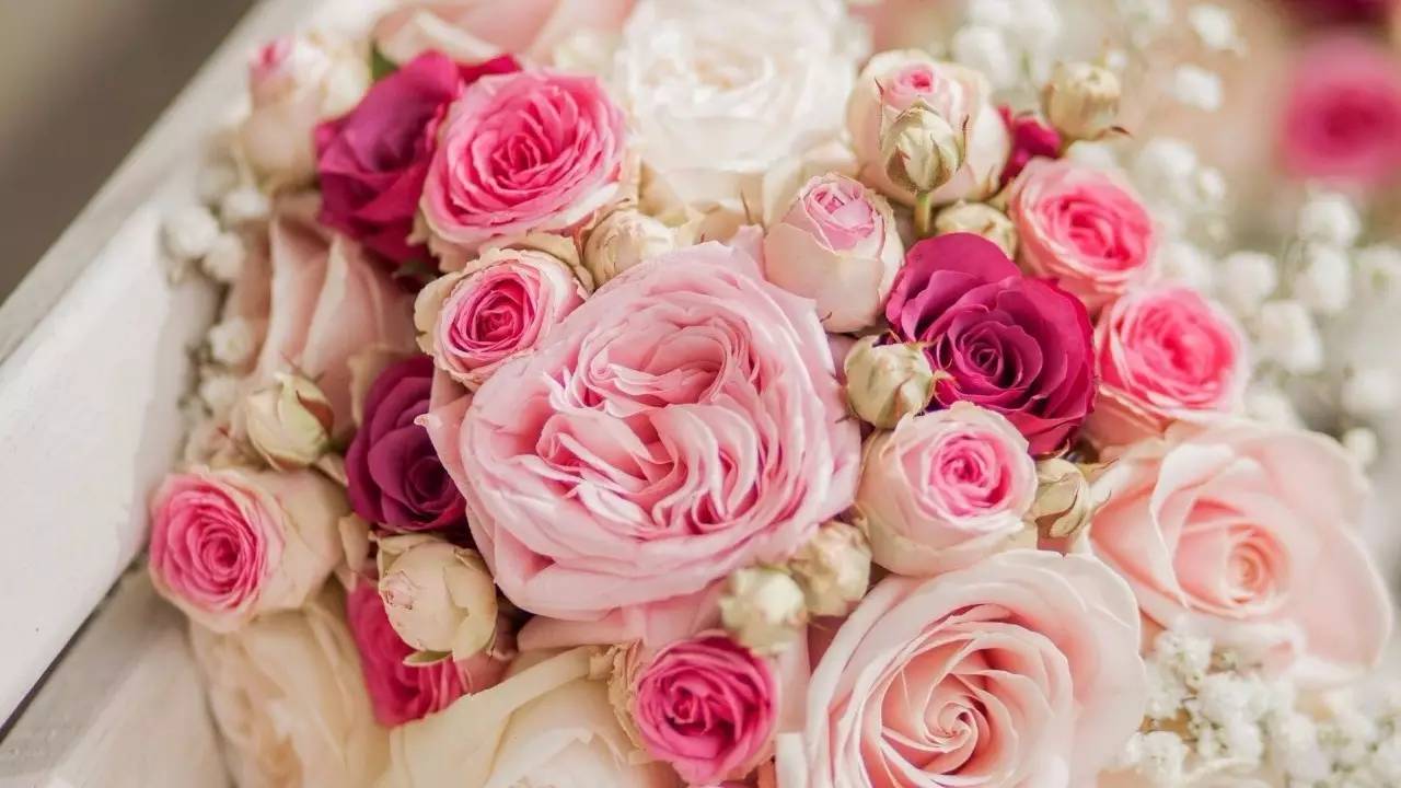 上海世茂皇家艾美酒店丨邀您共享浓情蜜意