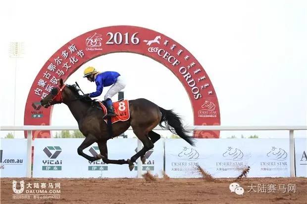 岂止比赛，更是盛会—2016内蒙古鄂尔多斯国际驭马文化节成功举办