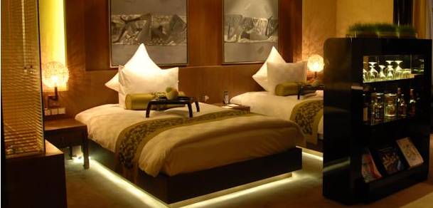 魔都这10家萌宠餐厅酒店，拯救留守在家的喵喵狗狗！咖啡、汉堡、江景……和主子腻在一起！