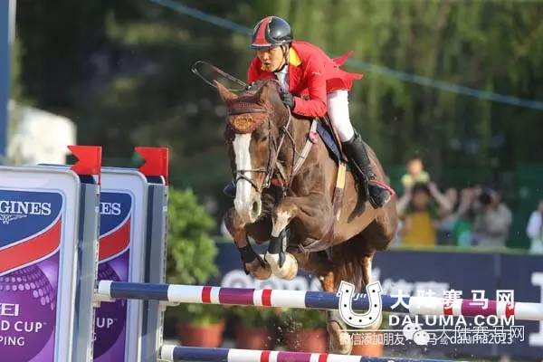 2016中国马业十大风云人物：在各自领域独领风骚影响行业