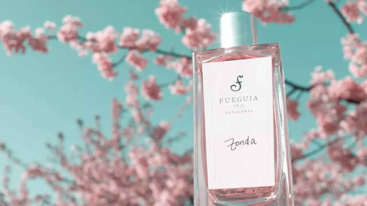 台湾大陆旅游凤梨酥,乌龙茶凤梨酥