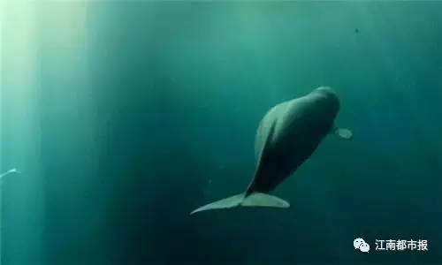 疼！一个铁钩，钩住的是全人类的的心