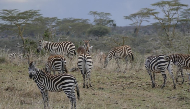 国内必去的10个旅行体验,国内一定要有的100个旅行体验