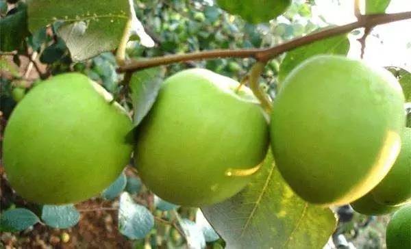 南宁适合春游前十个地方,南宁踏青去哪儿