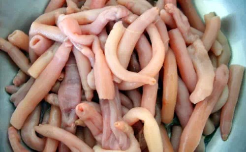 威海的海鲜什么时候是旺季,威海应季海鲜