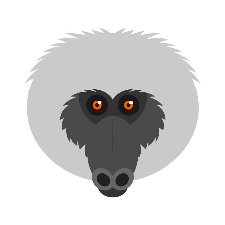 2016年是什么猴,2016年是属什么猴